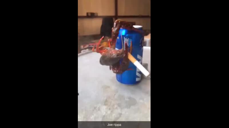 И раку иногда нужно расслабиться