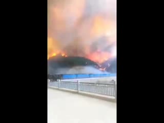 Fuego repentino de la montaña cerca del templo de baoshan en huairou, pekín china mp4