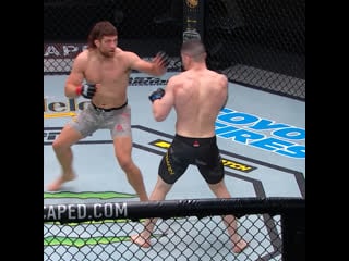 Эндрю санчез умеет жестко бить!