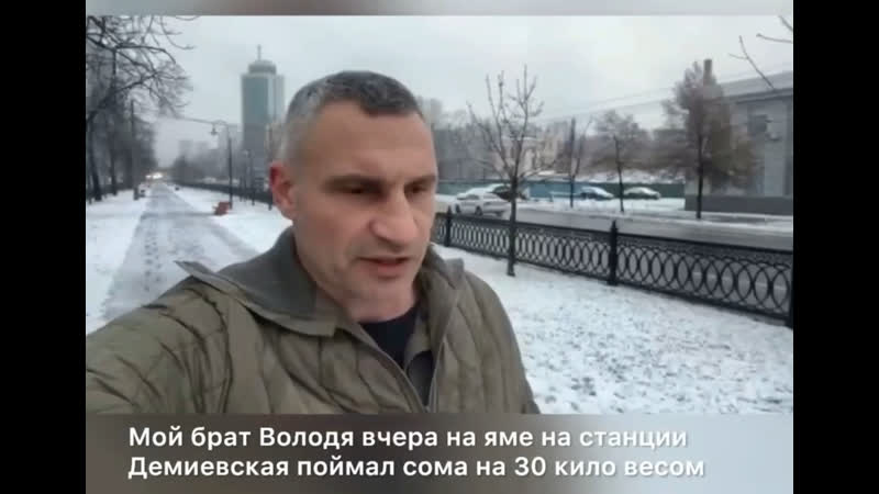 Куевская голова виталий кличко