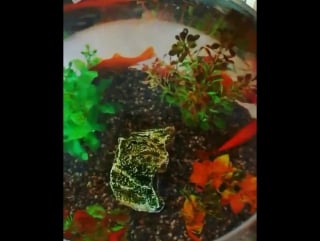 #turnup #freud a la #prod
#ohgod #inspiration # париж 26 09 2017