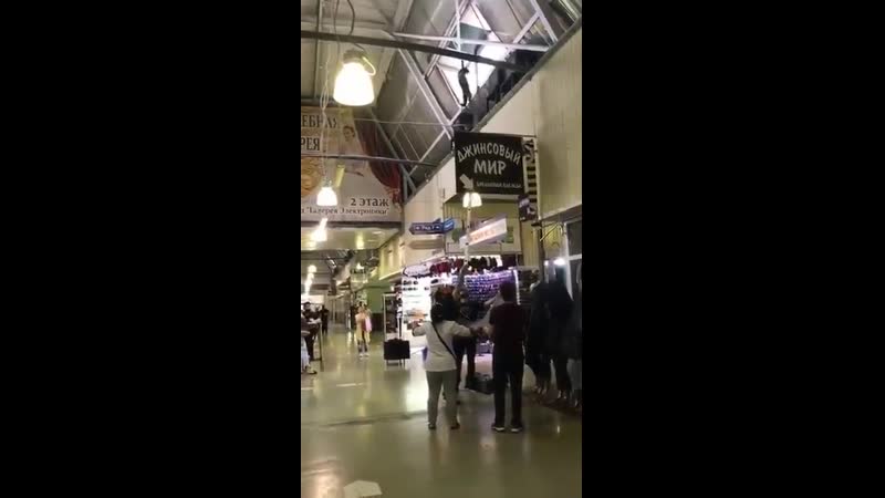 Спасение котейки