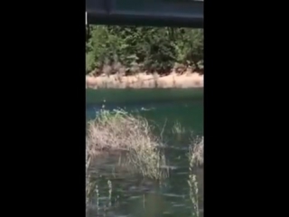 Неудачный прыжок