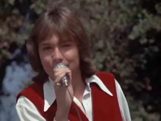 Partridge family breaking up is hard to do