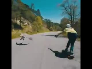 This goose decided to fly with this skateboarder down a long road