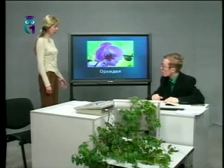 Урок 7 классификация цветковых экологические стрессы