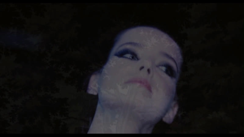 Мраку ночи вопреки / malgré la nuit (2015, филипп гранрийе) перевод*liosaa (hd 1080p)