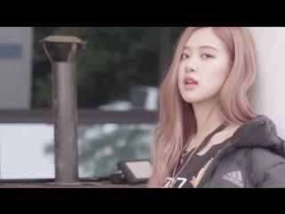 Blackpink (rose) @ adidas terrex | 3str winter jkt