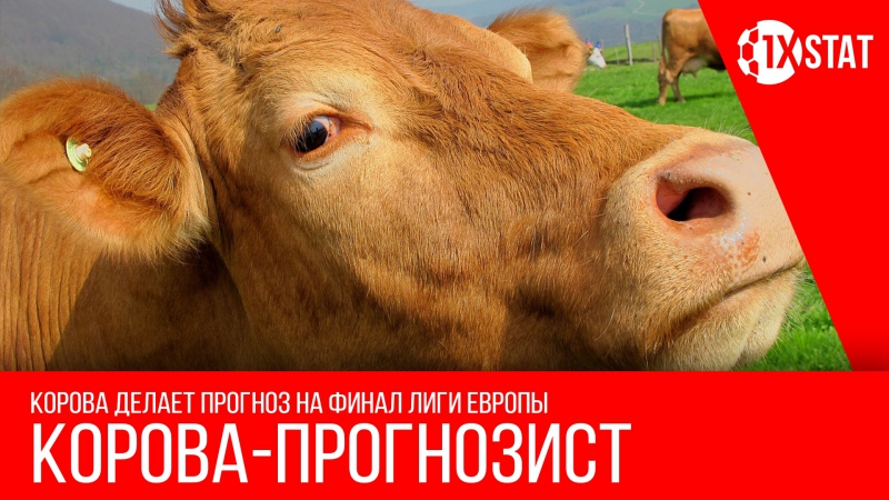 Прогноз коровы на аякс манчестер юнайтед