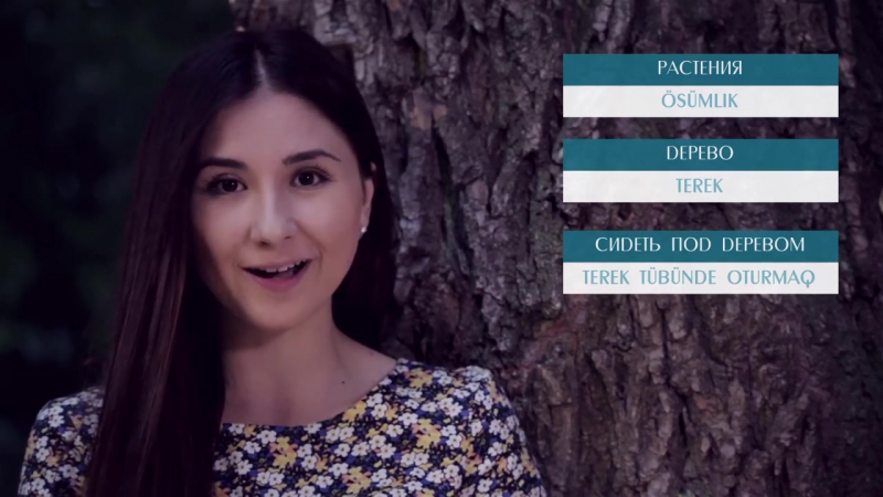 Видеоуроки «элифбе» прогулка в сад