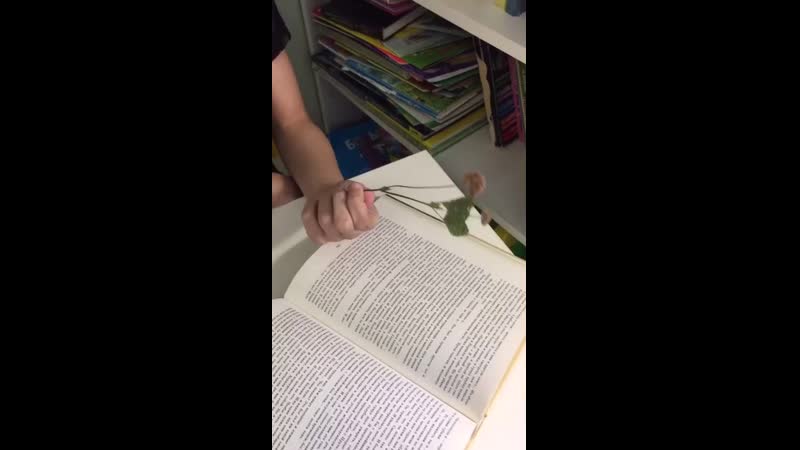 Лобанова татьяна, 18 лет, г калязин тверская область