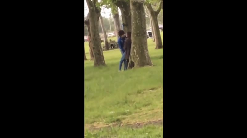 Бензопила не заводится