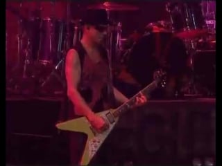 Amazonia – live in the jungle