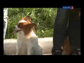 Альманах porn video – Альманах молодые актеры, осязаемая виртуальная реальность
