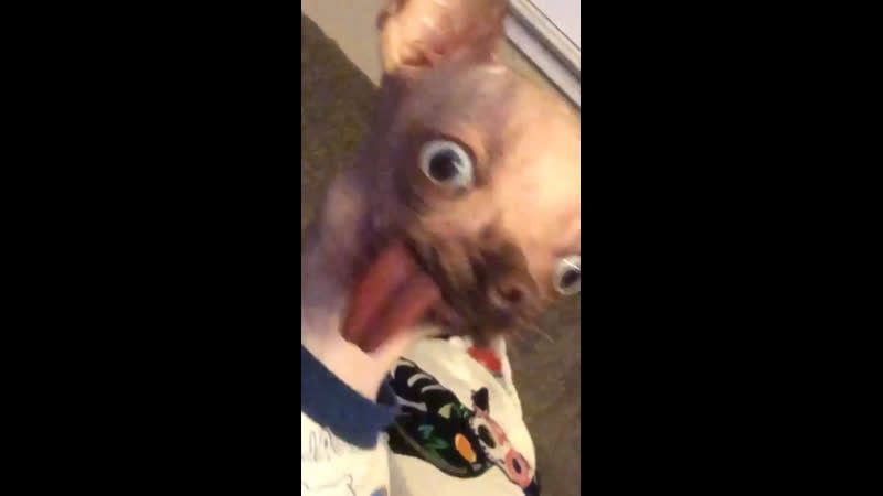 Кратко о моем состоянии