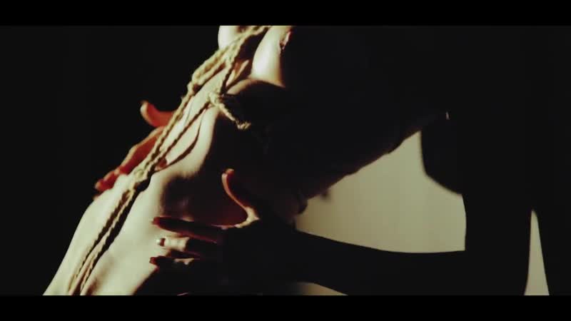 Aquarius signs of the zodiac