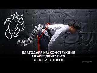 Японские учёные изобрели робохвост