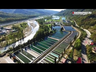 Город сочи красивейший город чёрного моря