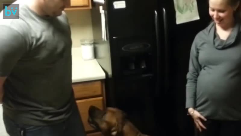 Молодые защищает секс беременной мамы