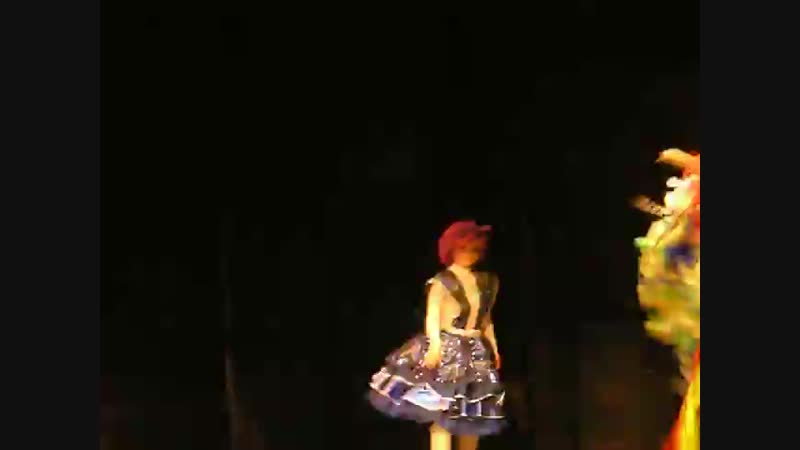 Попка суперстар