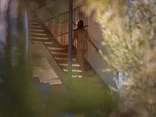 Андреа фловерс / andrea flowers the lemon tree ( 2019 )