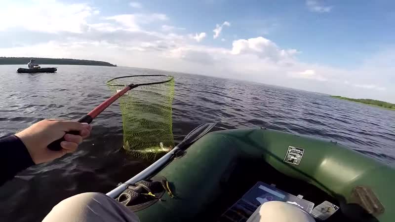 [angler ua рыболовный канал] хитрости ловли судака на рассвете! рыбалка на судака 2019!