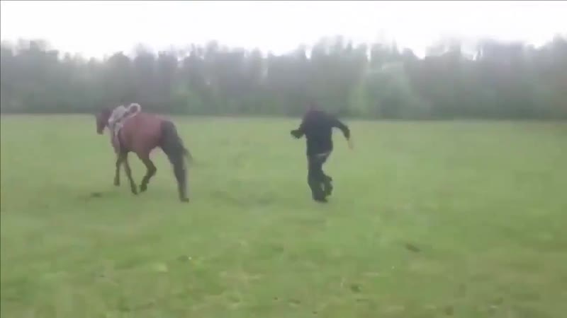 Всадник без головы