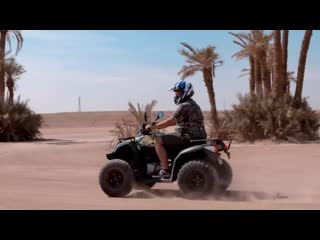 Loopers you want this