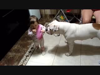 Vid 2016 12 25 210142 mp4