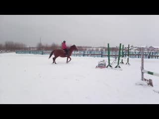 Видео от частная конюшня "мустанг"