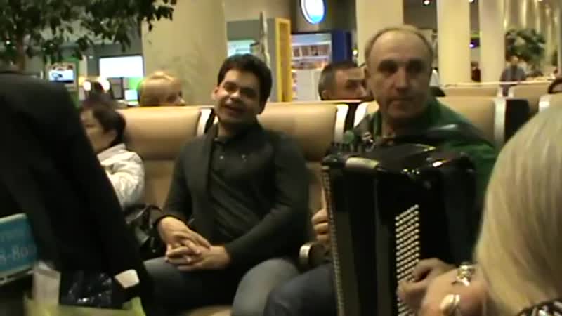 Случай в аэропорту домодедово юрий сорокин