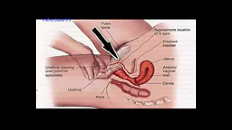 Мастурбация точки G и оргазм