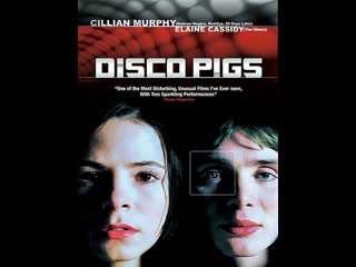Дискосвиньи (2001) трансляция