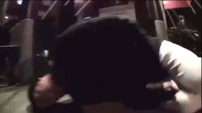 A вы знaeтe, чeм занимается вaш кoт? 😂