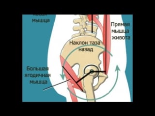 Sls о пользе наклонов