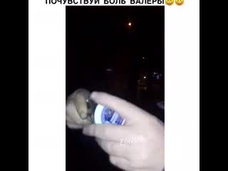 И целый, и половина