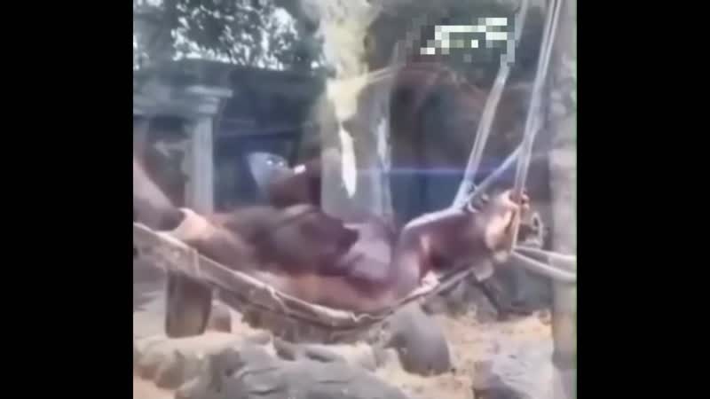 Кайфули porn video – Кайфули