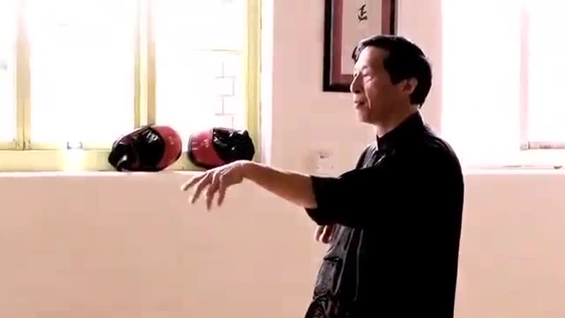 Master samuel kwok and sifu steve dyde wing chun forms