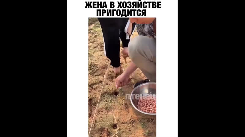 Жена в хозяйстве пригодится
