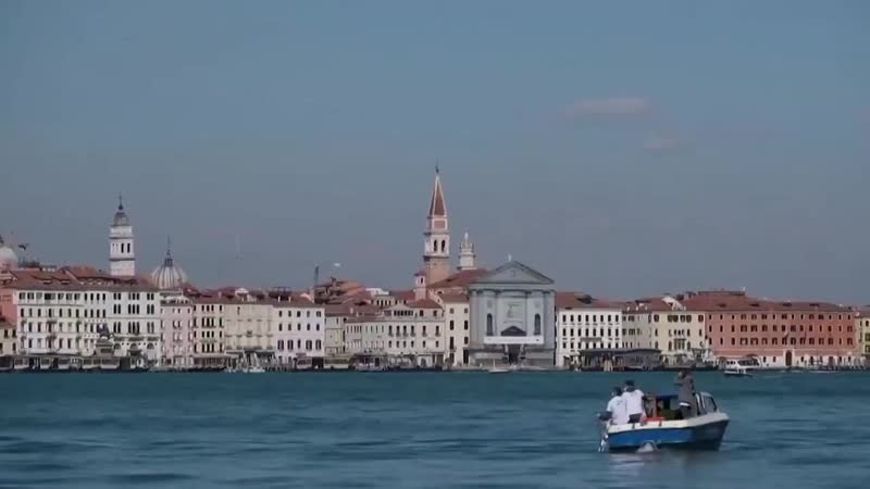 Дельфины приплыли в венецианский гранд канал