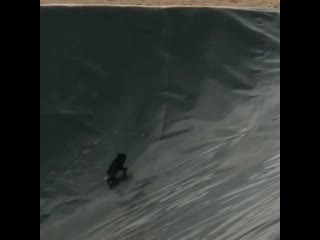 Running away from my responsibilities