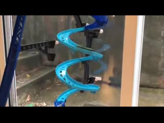 Анальные гонки +18