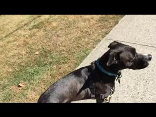 A little video tweet for my tweeter friends