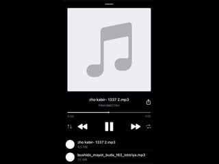 Bushido zho & kabir trey snippet 29/11/2020