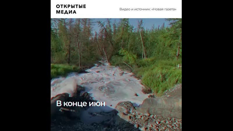 Очередной разлив топлива отравил землю в тундре на десятилетия