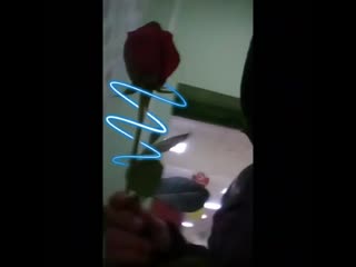 Vid 20160120 010244 354 mp4