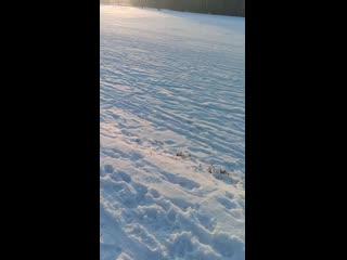 Video 20210110 151232 mp4