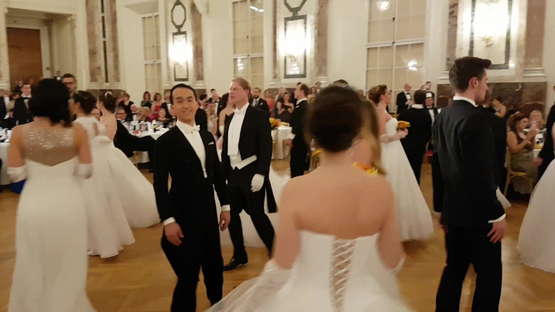 11 й московский бал в вене 2017г