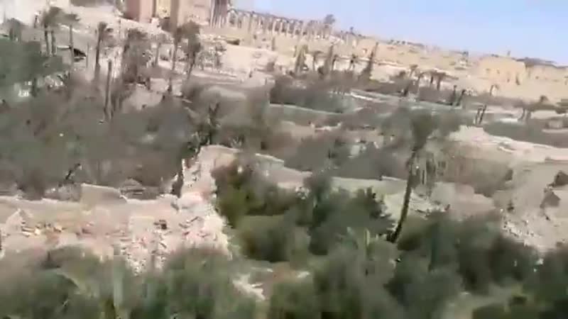 Видео работы армейской авиацией с рф в сирийских провинциях хомс и дейр эз зор