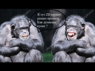 Live details releases for zmodeler